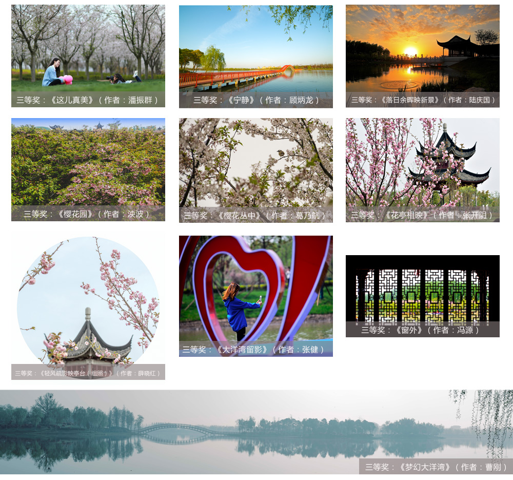專(zhuān)業(yè)組三等獎(jiǎng).jpg