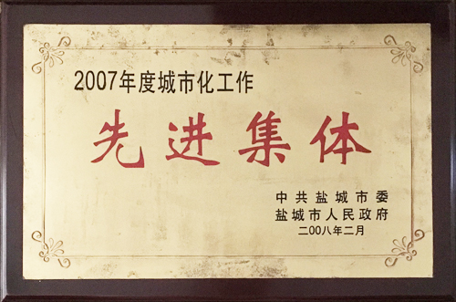 2008年2月城市化工作&ldquo;先進集體&rdquo;.jpg