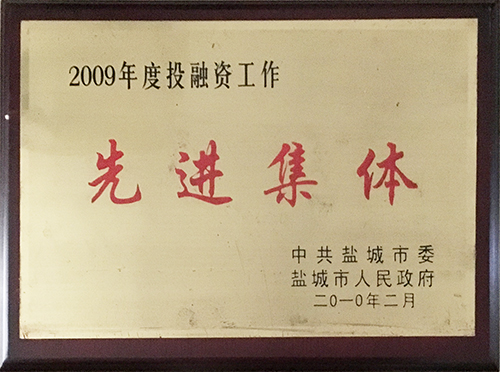2010年2月投融資工作先進集體.JPG
